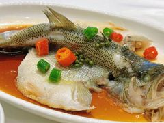 -湛江菜.江南首席(昆山店)