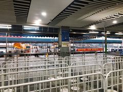 -澳门环岛游湾仔码头