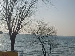 -漕湖湿地公园