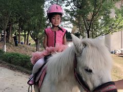-秀丽东方