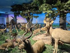 -国家自然博物馆