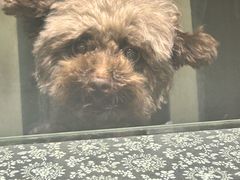 -苏州人家(锦溪镇店)