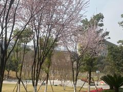 -沐仙湖湿地公园