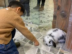 -MR.ZOO小小动物元室内动物园(沈阳沈河盛京中心)