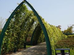 -自然谷恐龙园