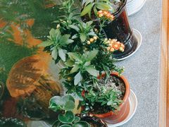 -中苑海韵
