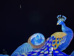 -邱金小炒·30 年盐帮江湖菜(自贡店)