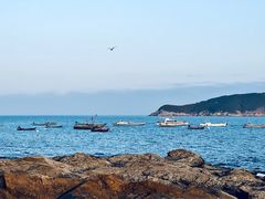-海源公园