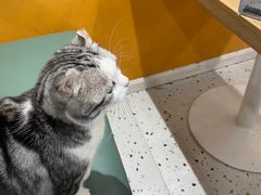 -泉乐坊步行街(烟酒特产平价超市店)