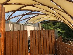 -怀托摩萤火虫洞