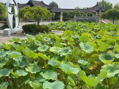 -池州市平天湖风景区