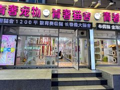 -青奢宠物·青奢猫舍