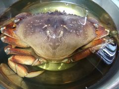 -江杨农产品批发市场