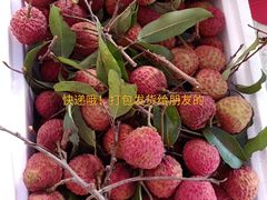 -从化深英荔枝黄皮龙眼采摘园