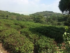 -巢湖姥山岛