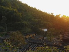 -杨家堂村