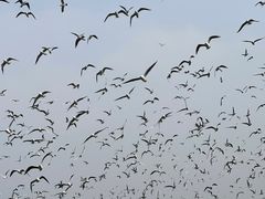 -麦当劳(火车北站餐厅)