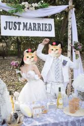 -太郎花子婚纱摄影艺术中心