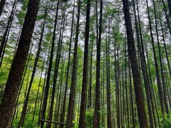 -关门山森林公园
