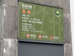 -中国大熊猫保护研究中心雅安碧峰峡基地