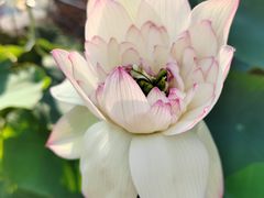 -朝阳公园