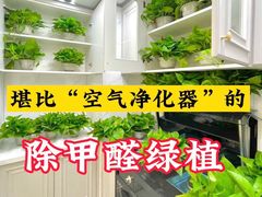 -绿色家缘甲醛治理公司(中关村店)
