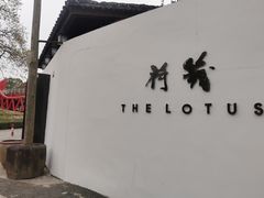 -几荷·恰似故人来(秀水广场店)