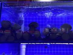-海帮主·蒸汽海鲜青岛菜(栈桥火车站店)