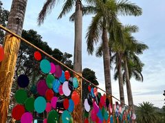 -上海圣淘沙万怡酒店