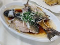 山溪鯇魚-海宝酒家(中山四路店)