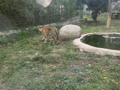 -泉州海丝野生动物世界