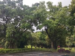 -福建鲤鱼洲酒店