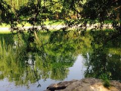 畅观楼-北京动物园-畅观楼