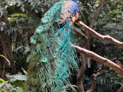 -广州长隆野生动物世界