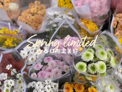 -循礼门鲜花花市(武汉循礼门店)