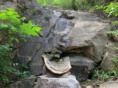 -黑龙潭风景区