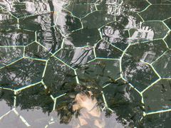 -海兰云天度假区温泉