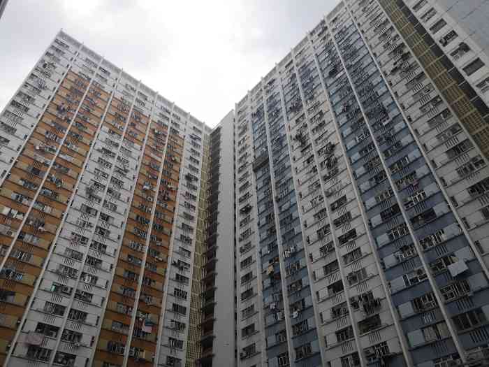 坪石邨-"坪石村:主要是一个方形的居民楼,内部中间."-大众点评移动版