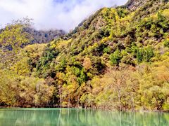 -叠溪松坪沟景区
