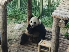 -大连森林动物园