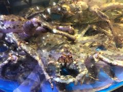 -蟹之国·精品蟹料理(极地店)