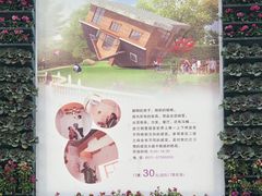 -金山农民画村-枫泾波兰倒置屋