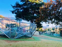 -金泽21世纪美术馆