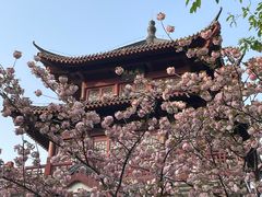 -堤角公园