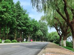 -太阳岛度假酒店