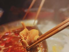 -九鼎轩脆毛肚火锅(三钢里店)