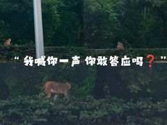 -苏州上方山国家森林公园