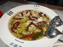 -渔语鱼新川菜Bistro(万象天地店)