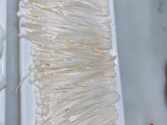 金针菇-幸运牛汕头小黄牛牛肉火锅(梅林店)