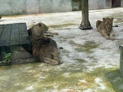 -太湖龙之梦